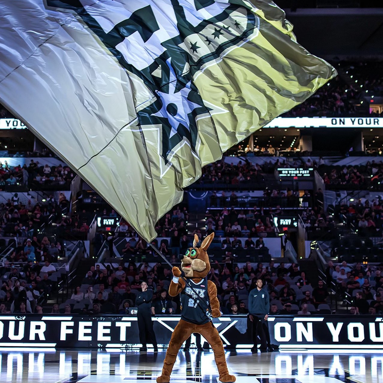 们提供了一 们提供了一